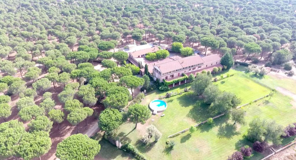 Posada Real Del Pinar Pozal de Gallinas Exteriör bild